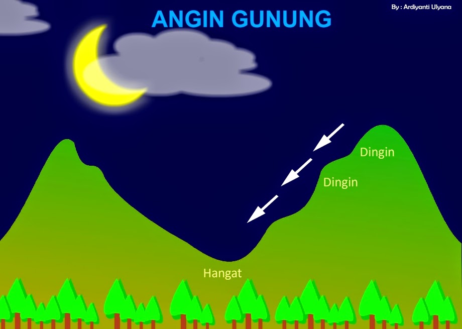 Look to the Sky: Multimedia Jenis-jenis Angin