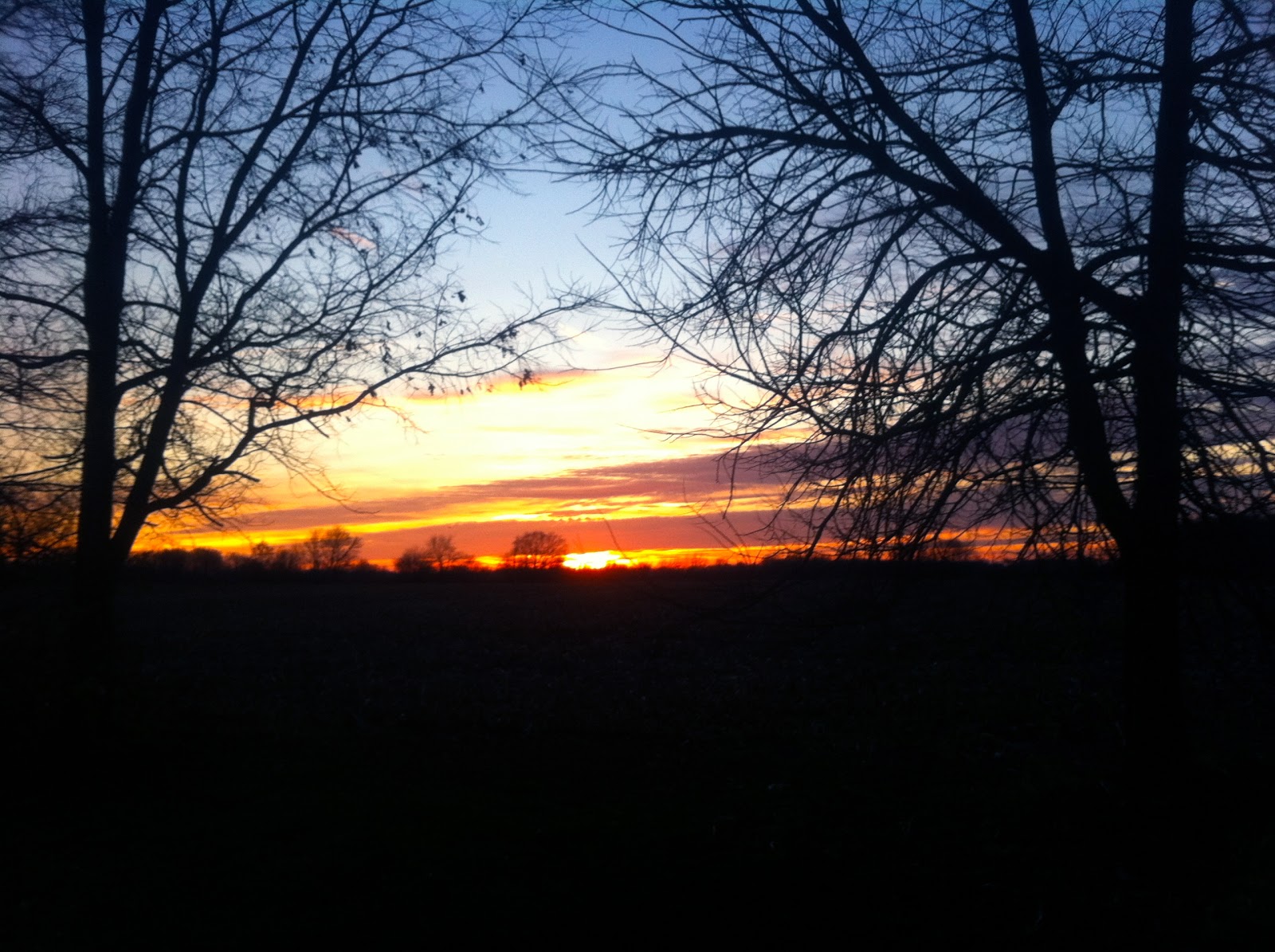 Jake & Susan's Wild Indiana