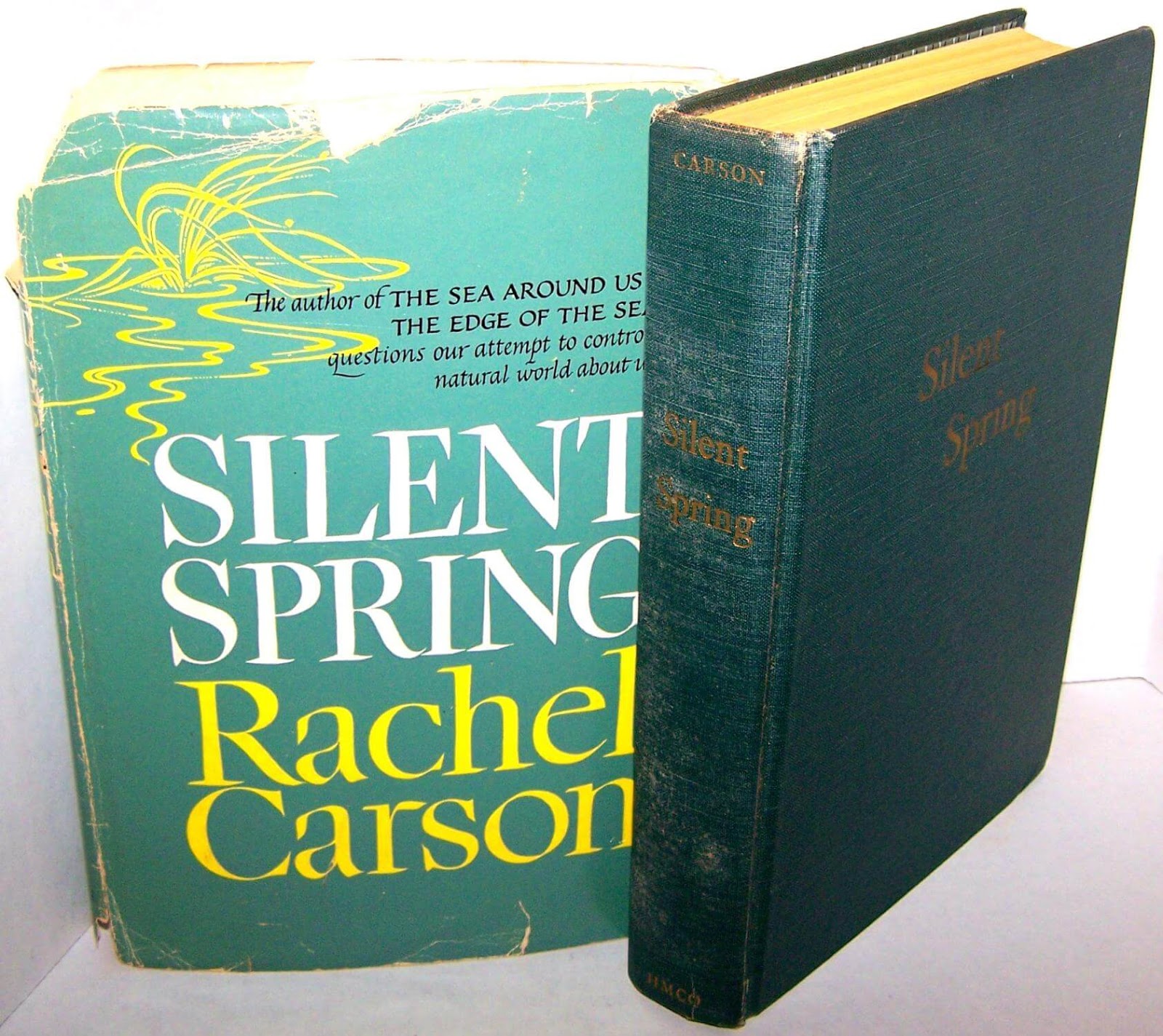 Rachel carson's silent spring. рашель карсон «молчаливая весна». безмолвная весна", рэйчел карсон книга. рейчел карсон безмолвная весна. безмолвная весна книга.