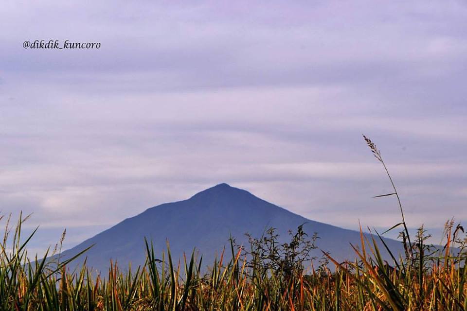 Harga Tiket Masuk Gunung Cikuray Via Jalur Pemancar Cilawu Kisah Para Pejalan