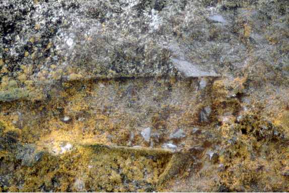 वाल्मीकिनगर में मिला उत्तम कोटि सोने का भण्डार..जरुर पढ़े 2 वाल्मीकिनगर में मिला उत्तम कोटि सोने का भण्डार..जरुर पढ़े 2