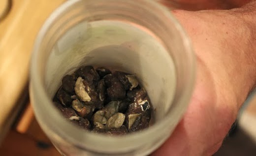 The new rules for eating meat A man who has eaten nothing but raw meat for 5 years.. - Facts Store