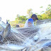 Dinas Kelautan dan Perikanan (DKP) Papua Dorong CSR Perbankan untuk Nelayan
