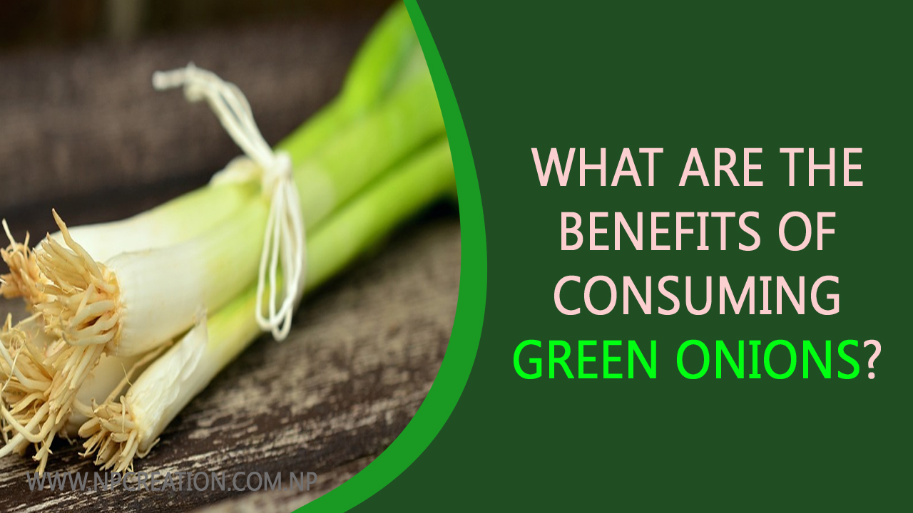 What are the benefits of consuming green onions? NP CREATION