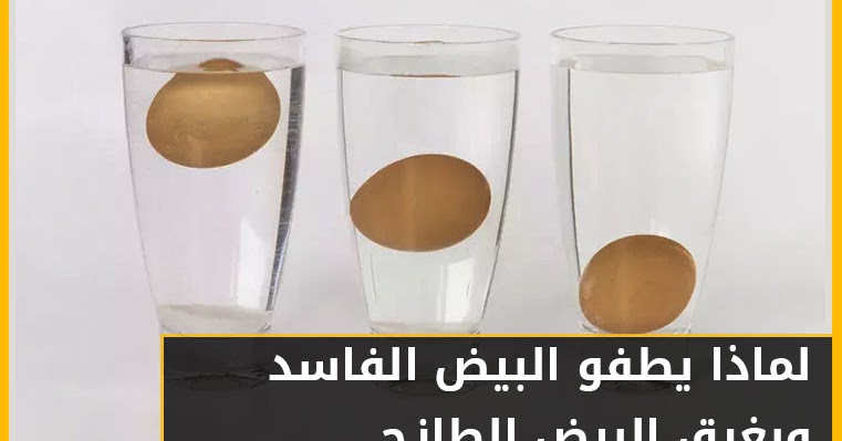 لماذا يطفو البيض الفاسد ويغرق البيض الطازج؟
