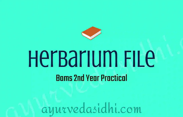 How to make Herbarium file?