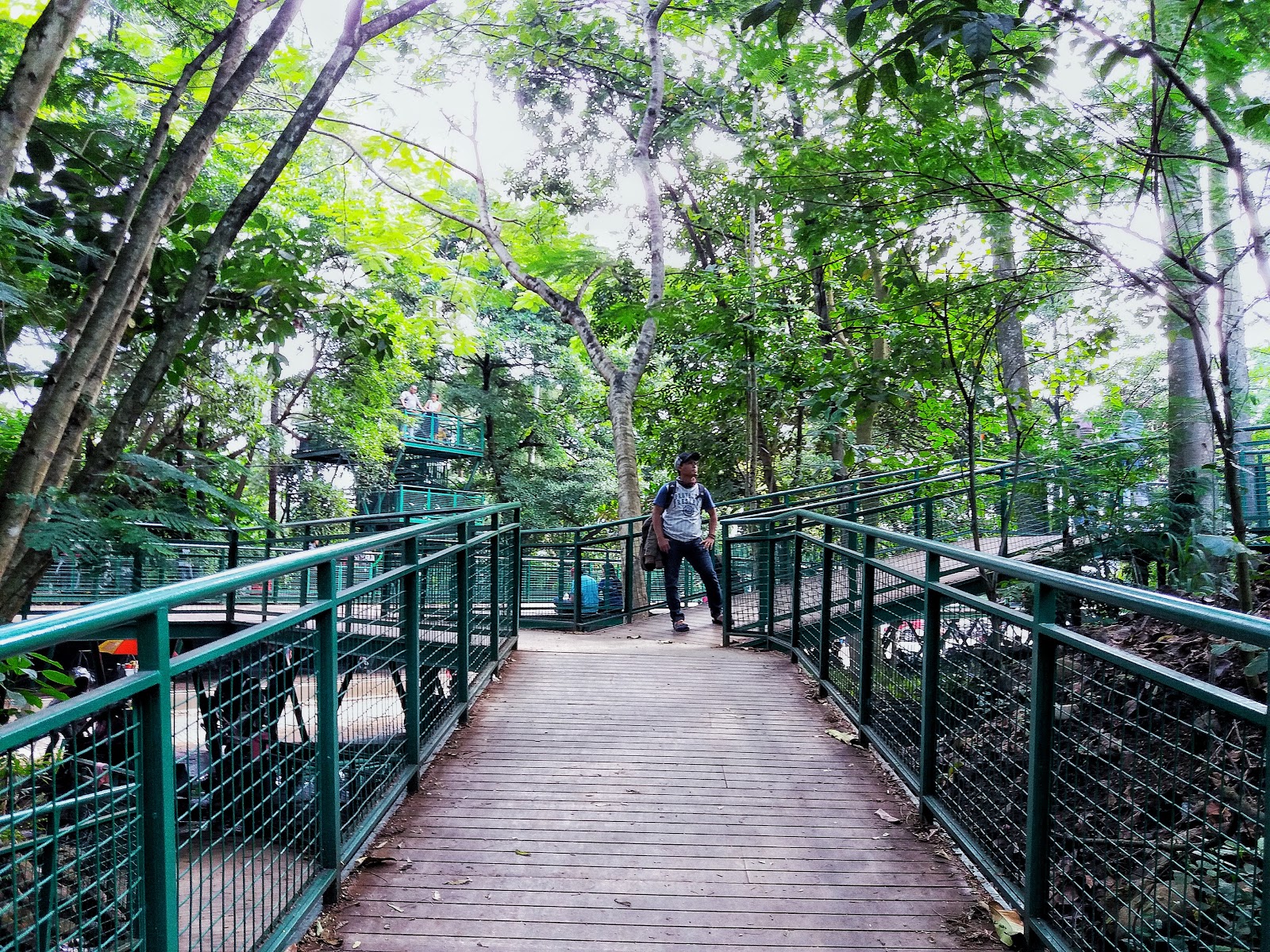 Baksil (Babakan Siliwangi) Hutan Kota Bandung Yang Sejuk ...