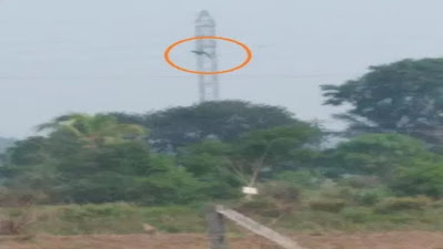 Funcionário da Energisa morre pendurado em torre de energia