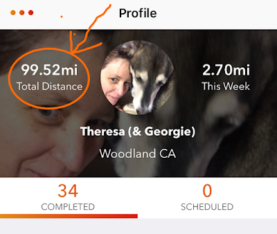 Running app profile with total distance of 99.52 miles circled