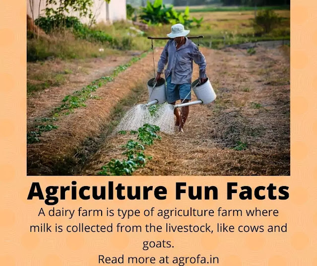 20+ Agriculture Facts Listed For You