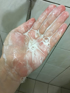 試用