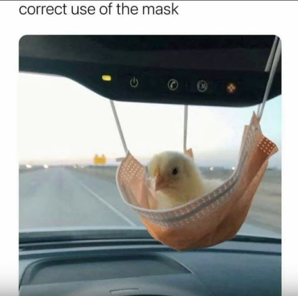 VIRUS%2BMASK%2B%252813%2529.JPG