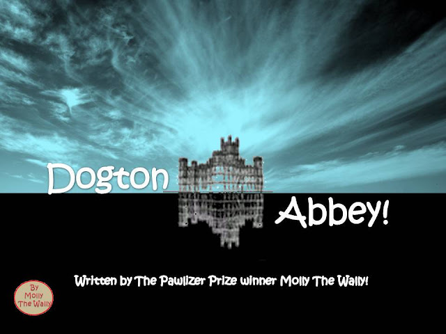 Dogton Abbey Blog, We Are Not A Fan Of The Creepy Crawley Clan!
