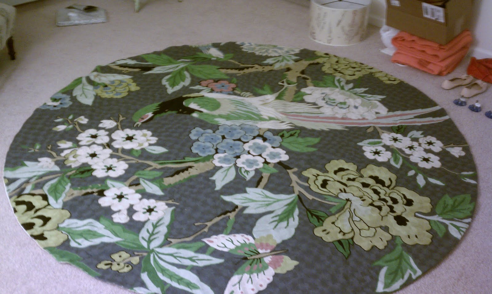 the delightful find anthropologie conure rug comes home