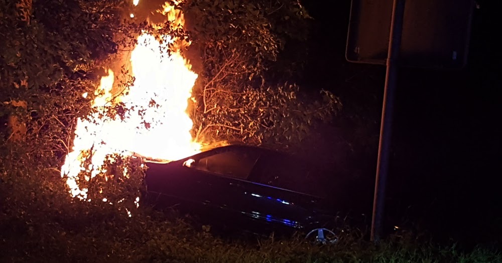 Interview Interview Mit Bettina Obrecht Und Lesung Katze Mit Buch