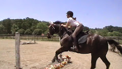 Miss Jean's favorite 2 girls on their first jump course together!