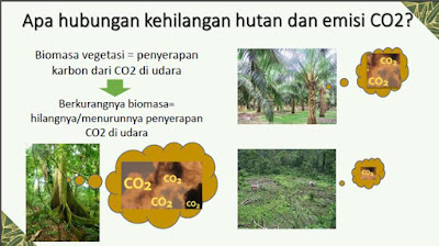 forest talk with netizens jambi