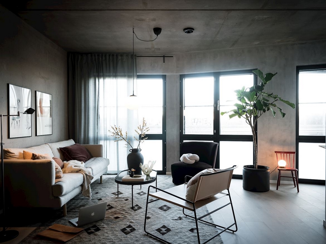 Peperomia Incana Care: How to Grow & Care For The Felted Pepperface