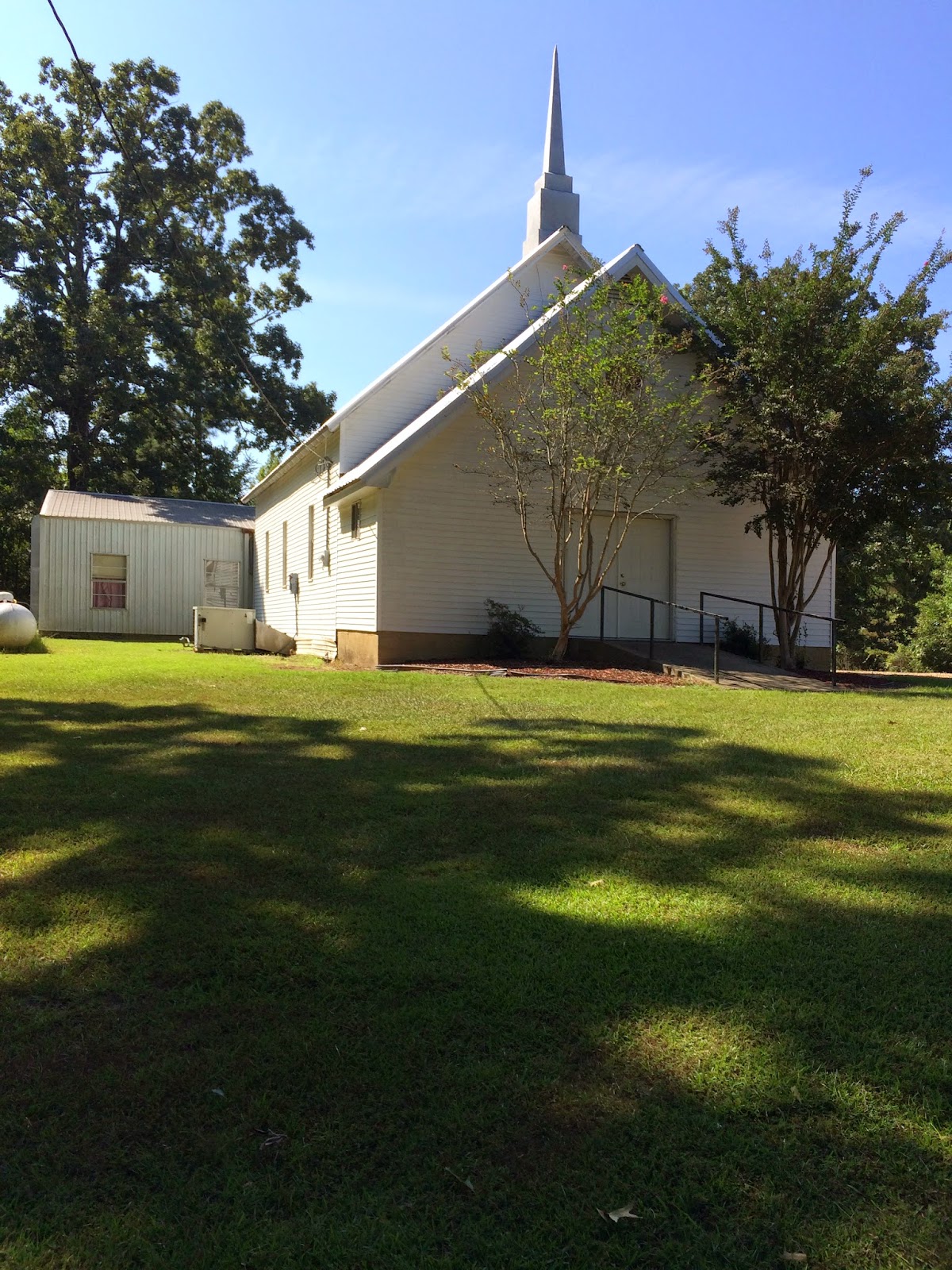 EndangeredSwimmer We Found a Home