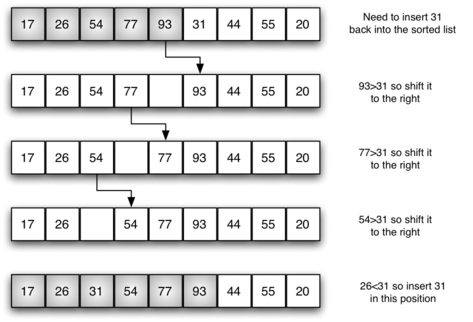 Insertion Sort - yeasir007