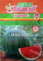 Semangka Madrid, Benih Semangka Madrid, Bibit Semangka Madrid,  Semangka Madrid F1, Semangka Madrid F1, Harga Bibit Semangka Madrid, Bibit Semangka Non Biji Madrid, BCA, Bintang Citra Asia, Lmga Agro