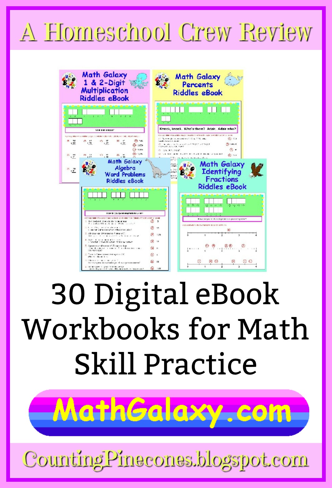 Counting Pinecones: Math Galaxy (A Homeschool Crew Review)