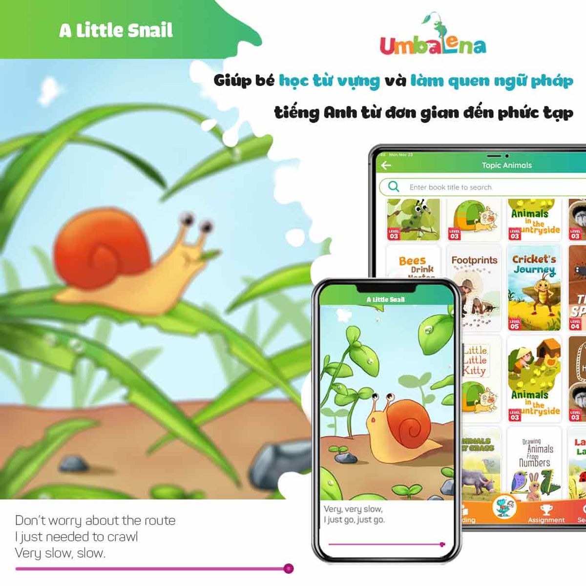 VOUCHER GÓI VIỆT ANH 1 NĂM - UMBALENA