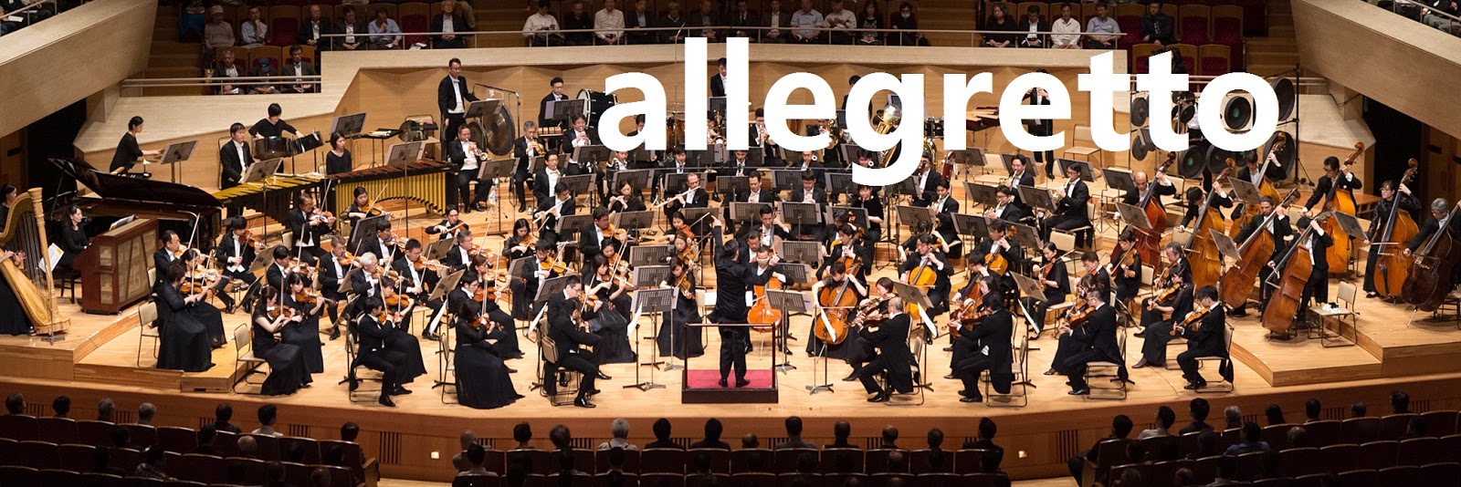 allegretto BilginCin