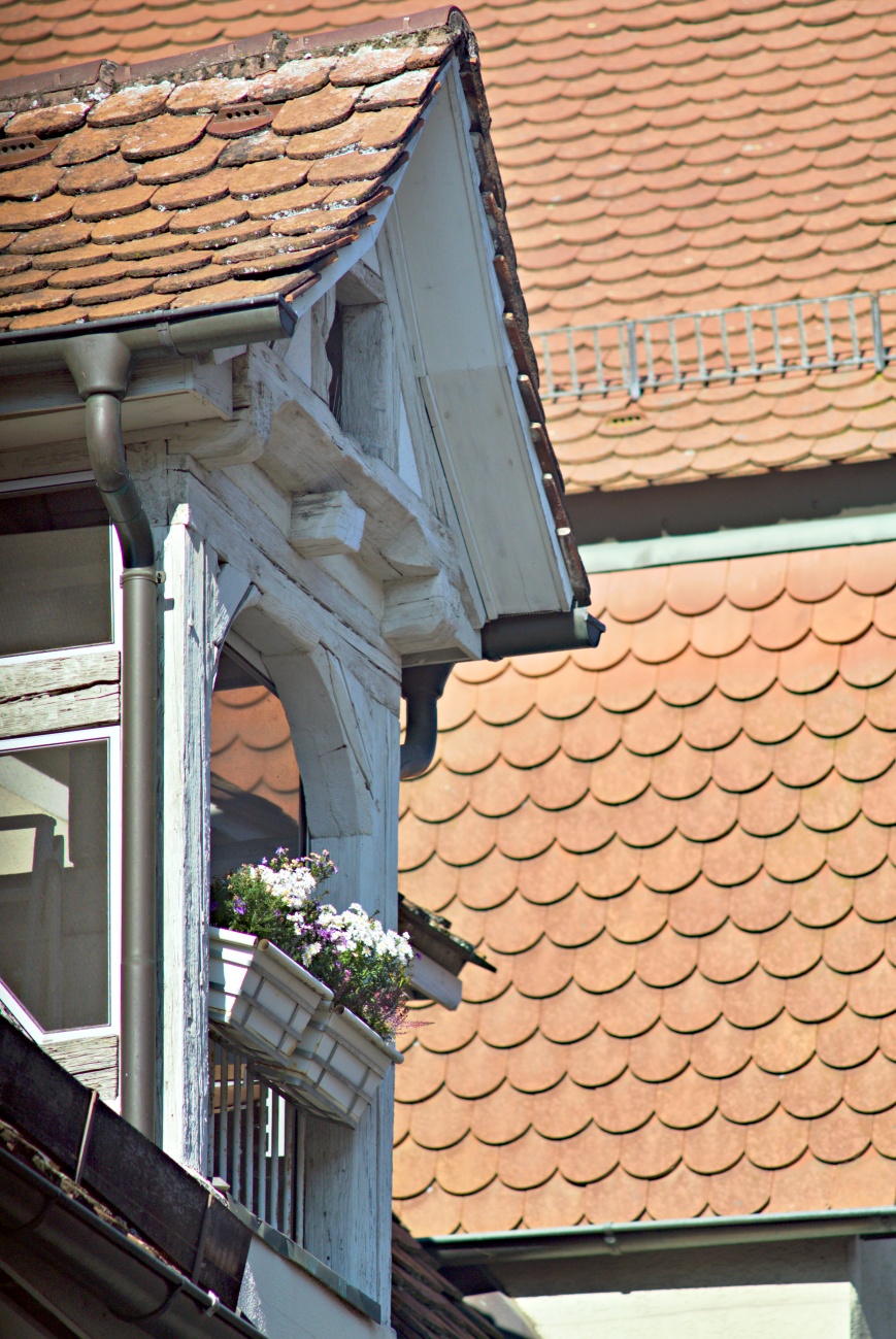 Tübingen in 300mm #7