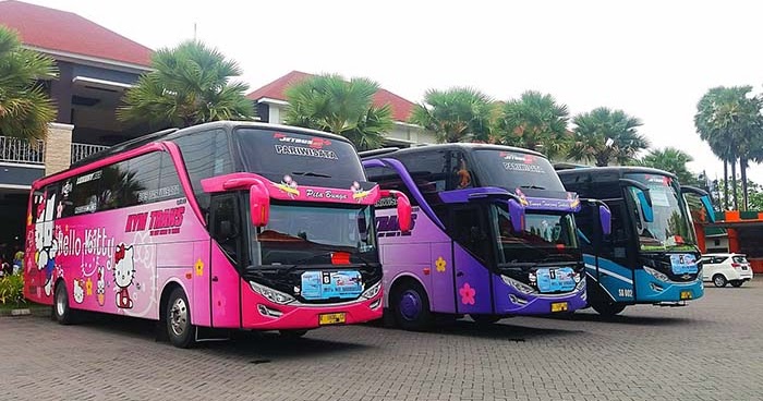 Menjadi Agen Bus Pariwisata: Syarat, Tantangan, dan Kesuksesan
