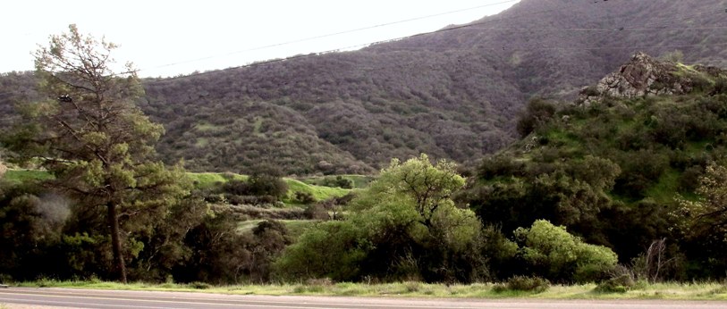 Agoura Hills Tomorrow Santa Monica Mountains Conservancy Receives 12
