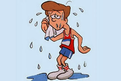 Que es el poder del metabolismo frank suarez pdf ?