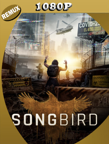 Infectados (2020) Remux 1080p Latino [GoogleDrive] Ivan092