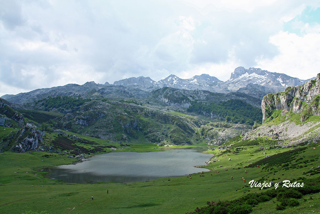 Lagos de Covadonga