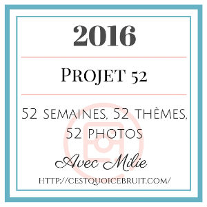 Projet 52