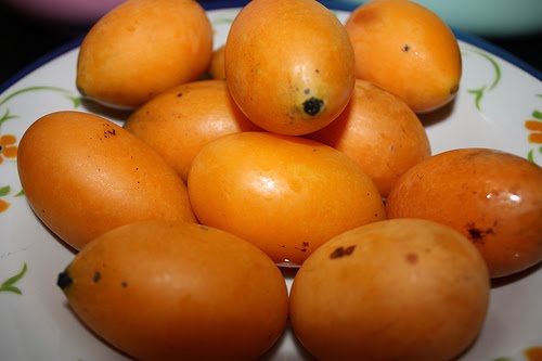 MERPATI PUTIH Buah Kundang vs Buah Staq&hellip;