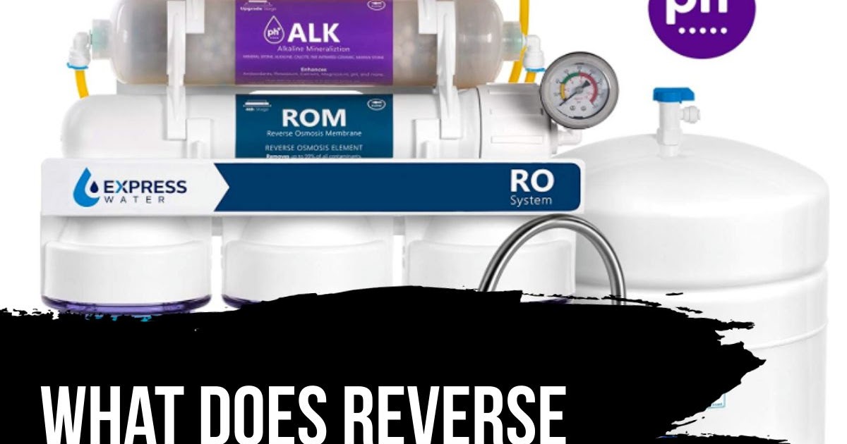 ShowerMeister Best Shower heads What Does Reverse Osmosis Do For You?