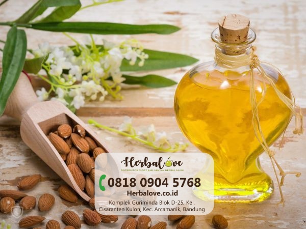 supplier minyak almond Tanjungbalai” height=