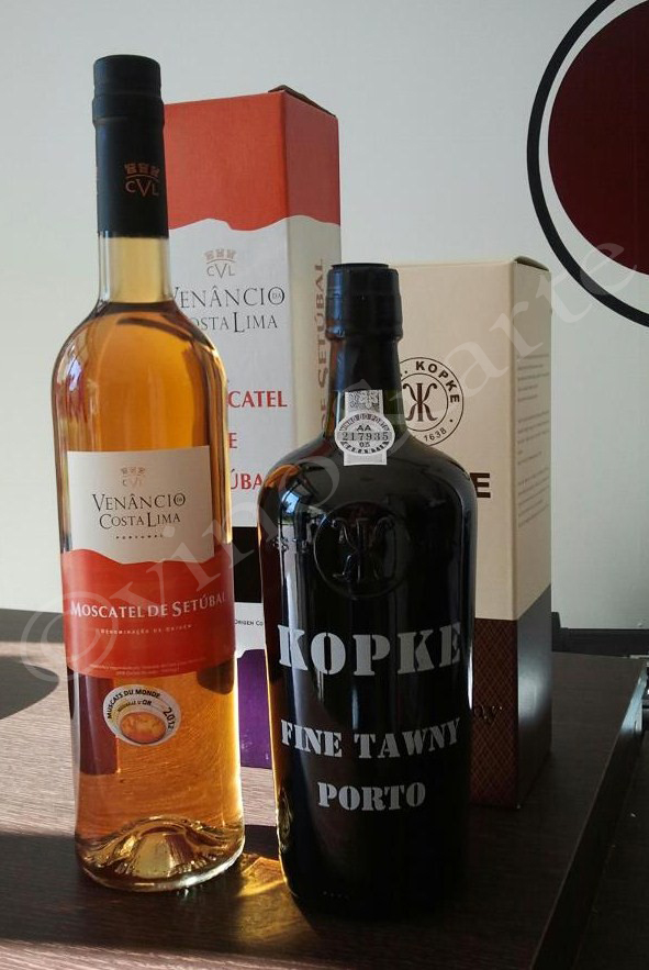 VINO&ARTE PORTUGAL EN VINO&ARTE