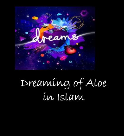 Dreaming of Aloe Islamic Interpretation