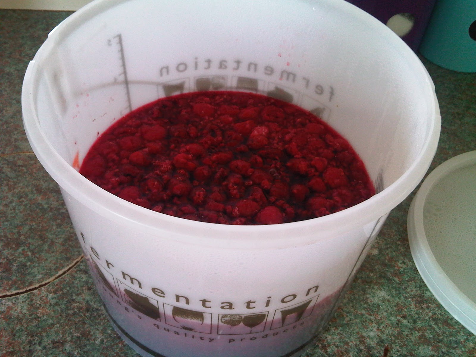 Me & My Vino Raspberry Wine 1