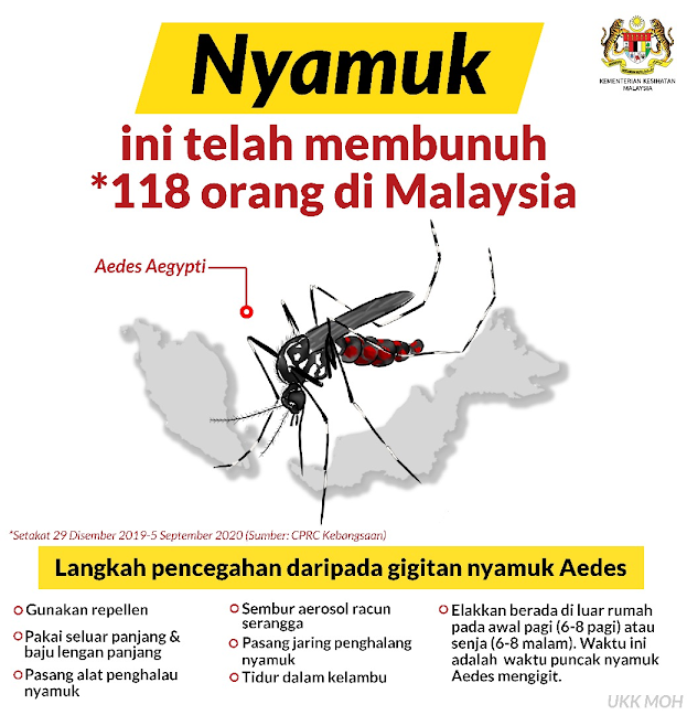 Mosquitoes Are Deadlyshould We Kill Them All The Unexpected Consequences - b3domdq
