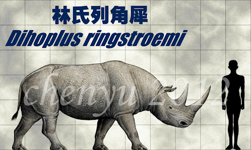 rhinocerotidae fosil Dihoplus