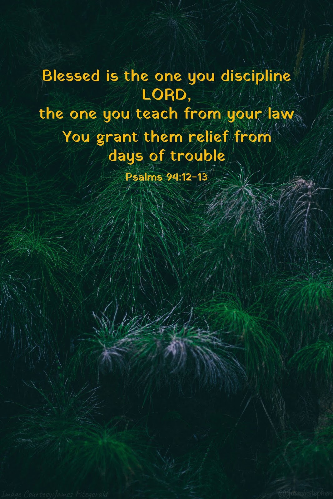 Psalms 94 12 13 Psalms 94 12 13