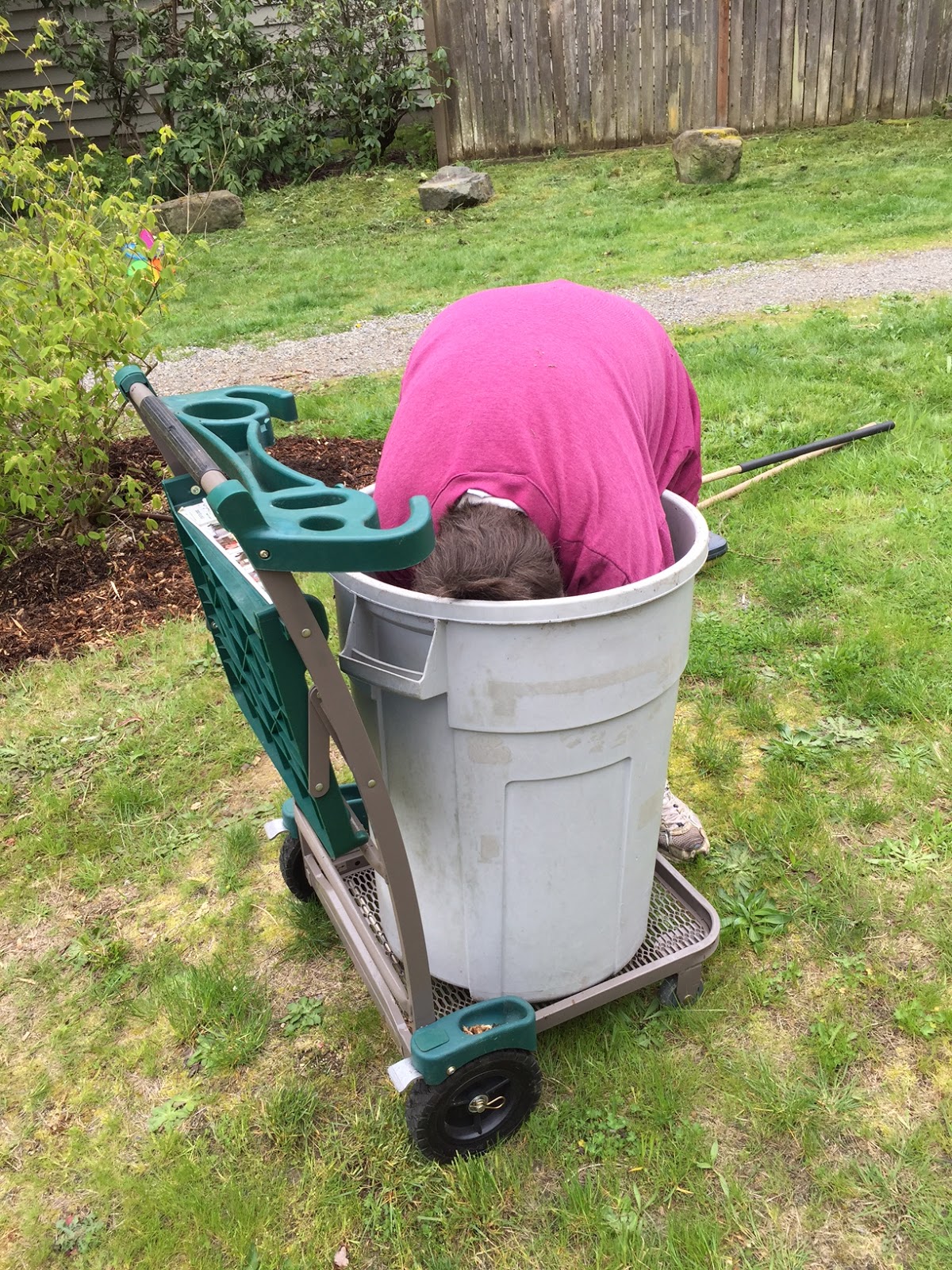 Shoreline Area News Photo Weeding the Densmore Pathway