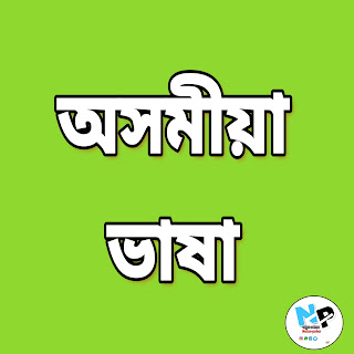 নতুন পোহৰ