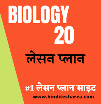 biology lesson plan formats जीव विज्ञान पाठ योजना | Biology lesson plan in hindi for B.ed