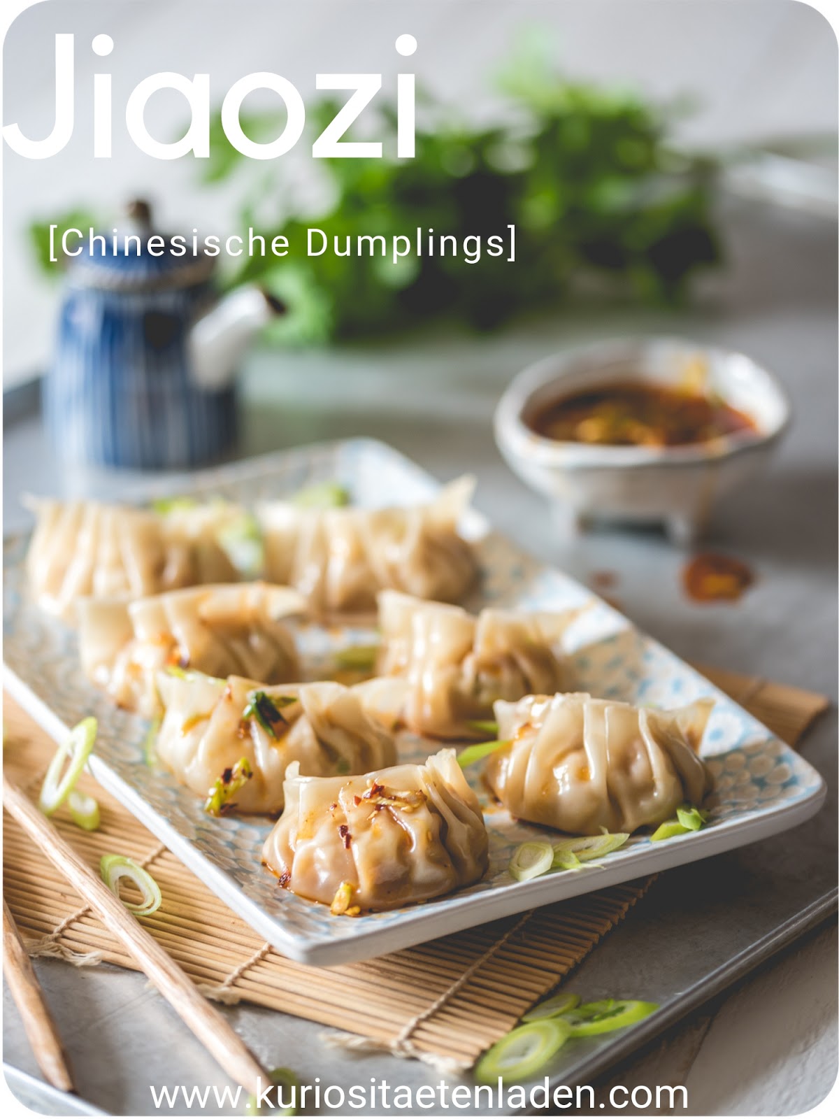 Gedämpfte Jiaozi mit Schweinefleischfüllung | 餃子 / 饺子 Gedämpfte Jiaozi mit Schweinefleischfüllung | 餃子 / 饺子