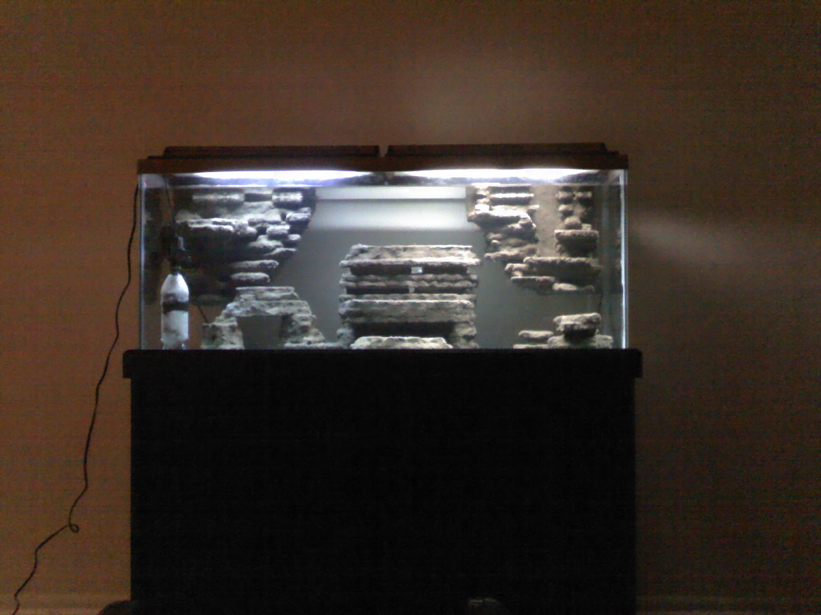 Jose's DIY Ideas Styrofoamcement aquarium background
