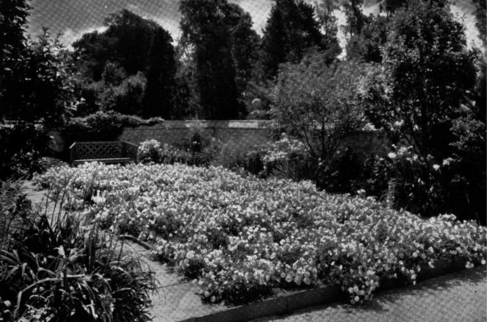 Half Pudding Half Sauce "RYNWOOD" the home of Samuel A. Salvage at